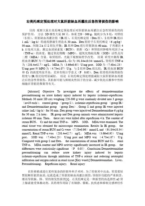 右美托咪定预处理对大鼠肝脏缺血再灌注后急性肾损伤的影响