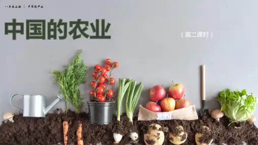 湘教版 地理八上4.1农业课件(27张PPT)