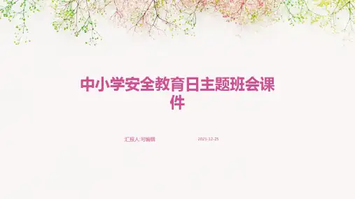 中小学安全教育日主题班会课件