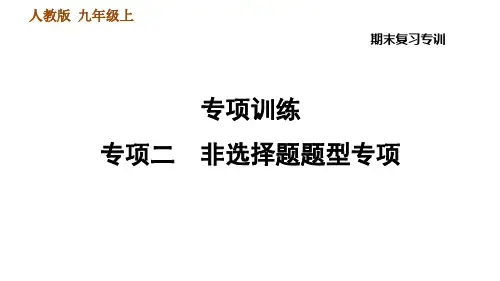 统编版历史九年级上册专项二 非选择题题型专项
