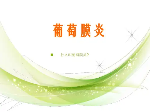 葡萄膜炎ppt课件