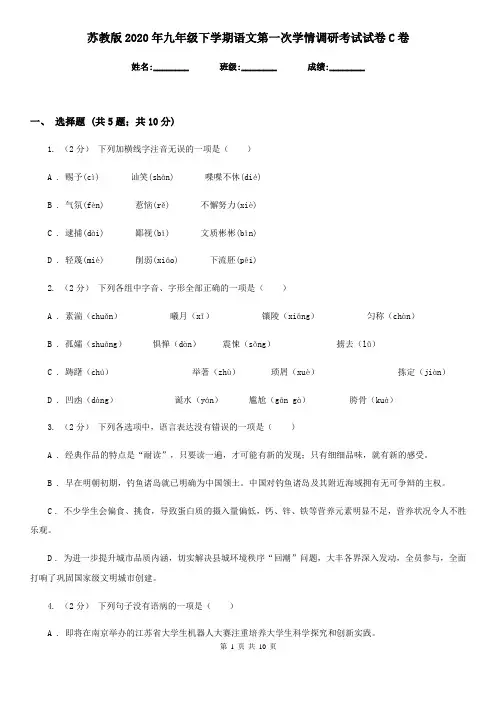 苏教版2020年九年级下学期语文第一次学情调研考试试卷C卷