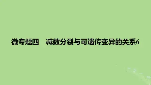 2025版高考生物一轮总复习必修1微专题4减数分裂与可遗传变异的关系课件