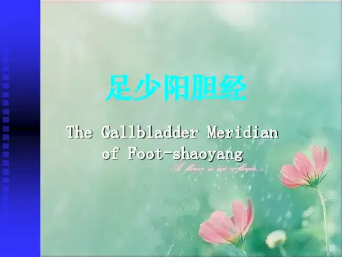足少阳胆经腧穴