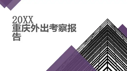 重庆外出考察报告