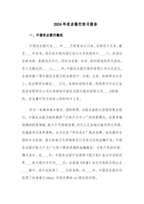 2024年农业银行实习报告（二篇）