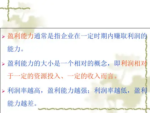 企业盈利能力分析(ppt 45页)