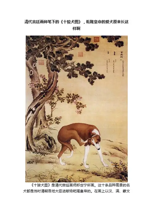 清代宫廷画师笔下的《十骏犬图》，乾隆皇帝的爱犬原来长这样啊