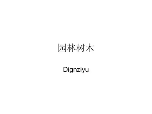 园林树木识别