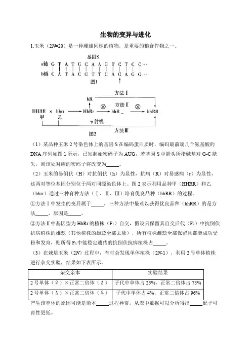 2024届高考生物一轮复习大题过关练生物的变异与进化 