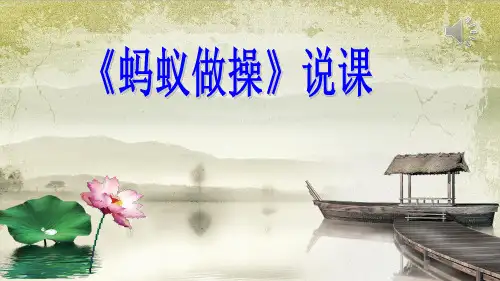 北师大版数学三年级上册6.1《蚂蚁做操》说课课件