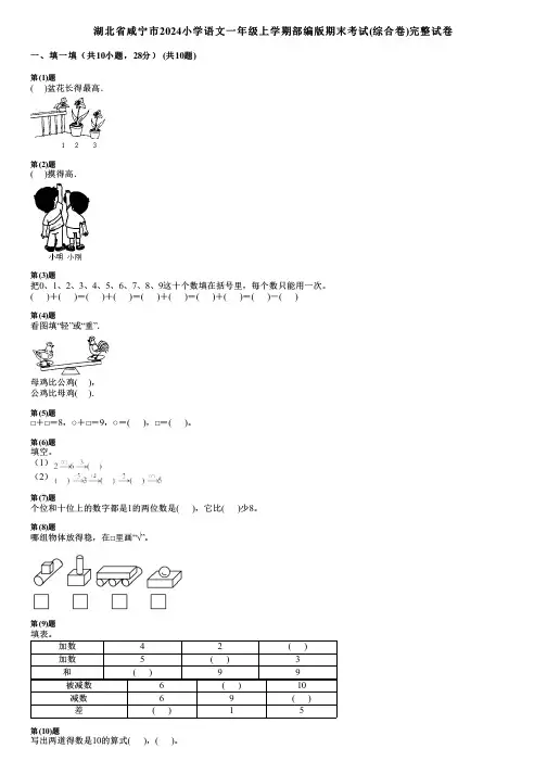 湖北省咸宁市2024小学数学一年级上学期部编版期末考试(综合卷)完整试卷