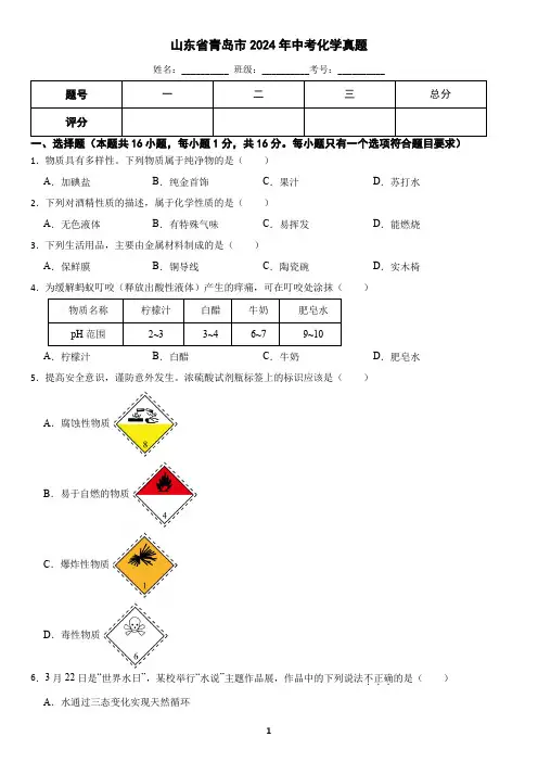 山东省青岛市2024年中考化学真题(含答案)
