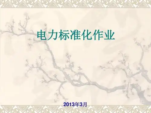 电力标准化作业课件(PPT 41张)