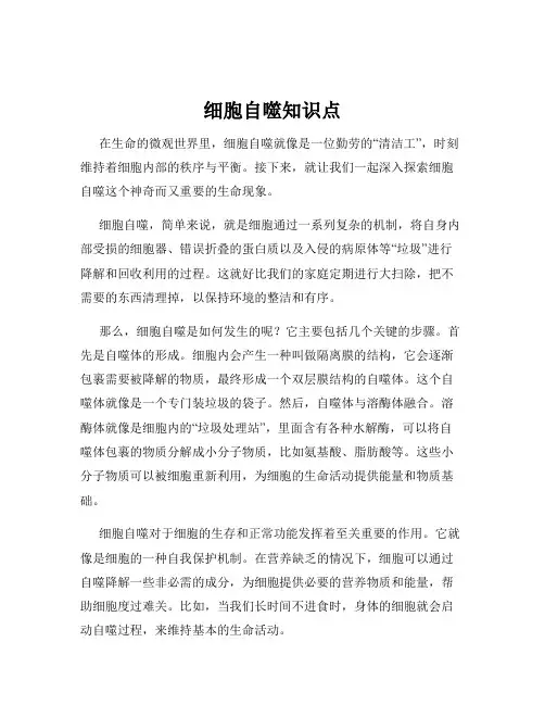 细胞自噬知识点