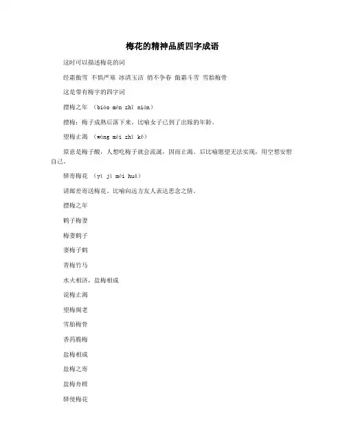 梅花的精神品质四字成语