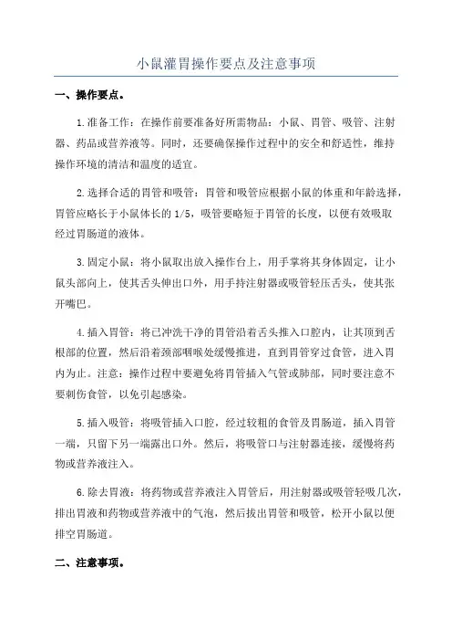 小鼠灌胃操作要点及注意事项