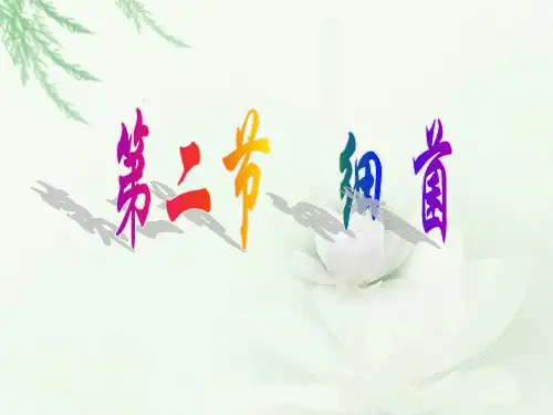 【初中生物课件】细菌