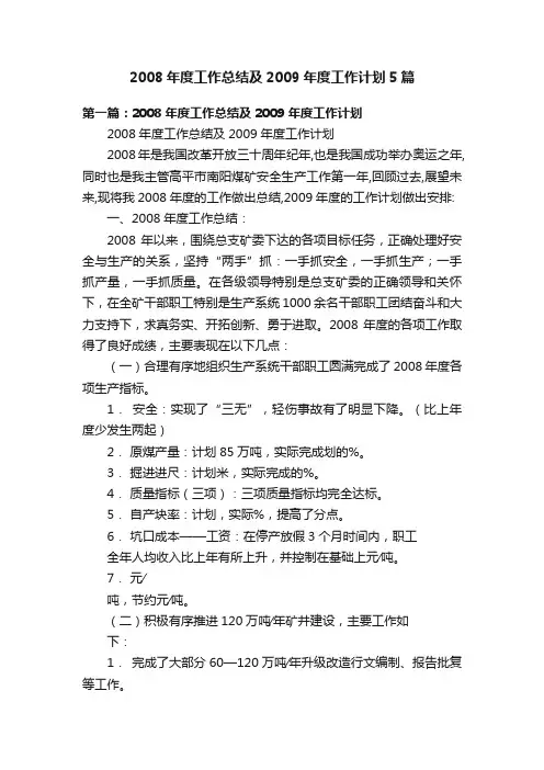 2008年度工作总结及2009年度工作计划5篇