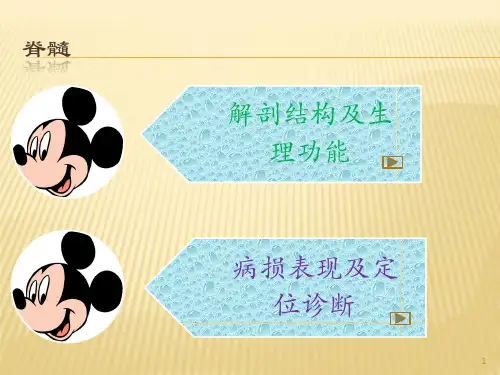 脊髓损伤及定位PPT课件