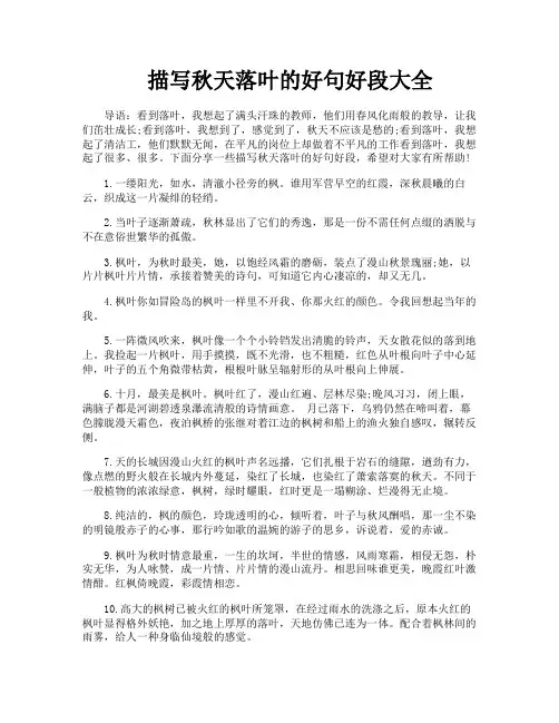 描写秋天落叶的好句好段大全