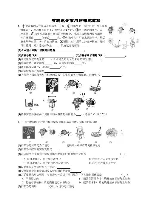有关光合作用的探究实验