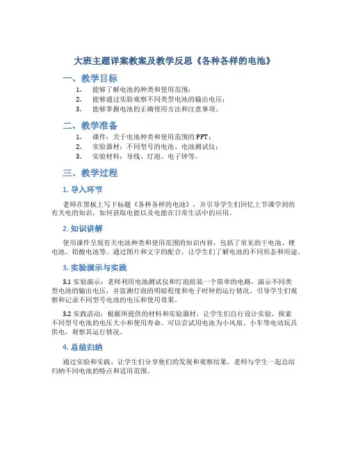 大班主题详案教案及教学反思《各种各样的电池》