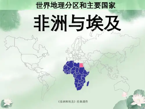 《非洲和埃及》经典课件