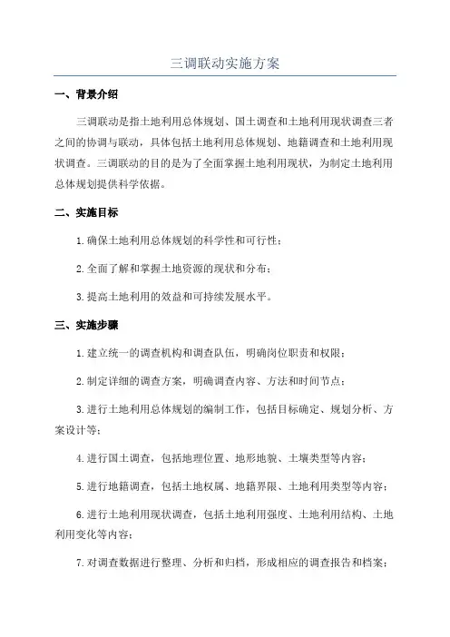 三调联动实施方案