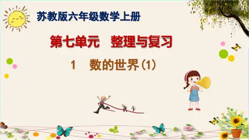 苏教版六年级数学上册第七单元整理与复习1  数的世界(1)