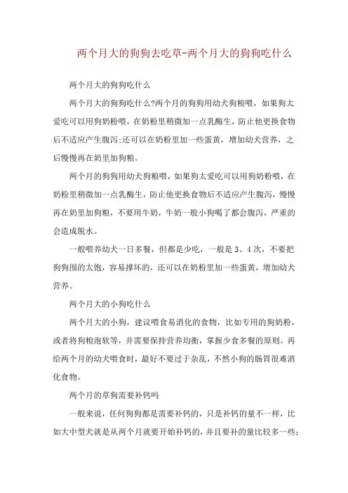 两个月大的狗狗去吃草-两个月大的狗狗吃什么