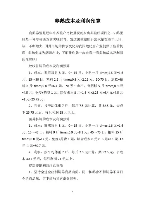 养鹅成本及利润预算