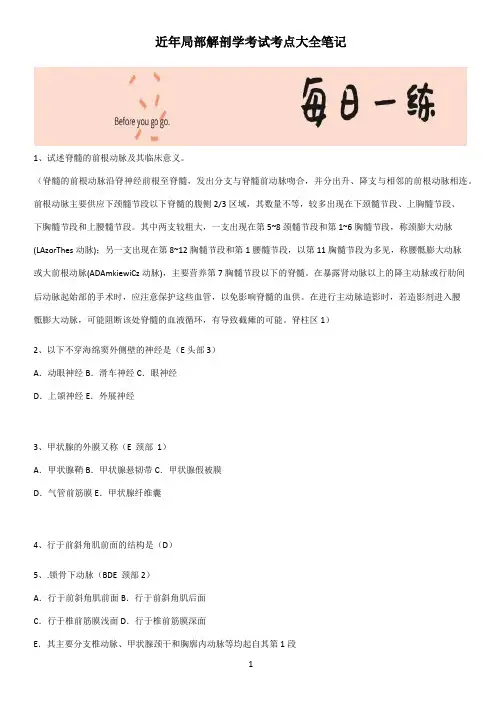 近年局部解剖学考试考点大全笔记