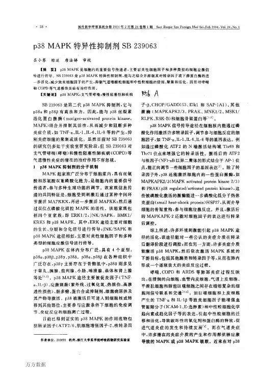 p38_MAPK特异性抑制剂SB_239063