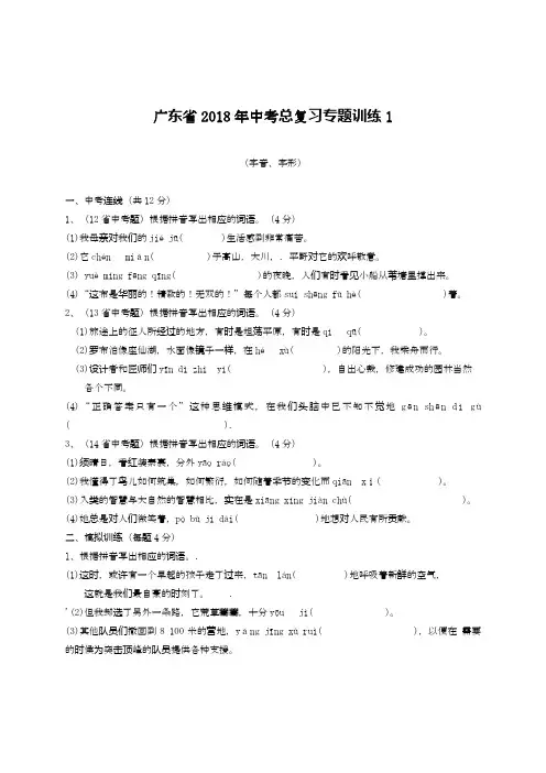 2020—2021年广东省中考语文模拟专题复习《字音、字形》及解析.docx