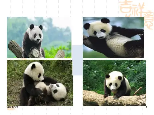 苏教版二年级上册《我叫黑脸琵鹭》0PPT精品课件