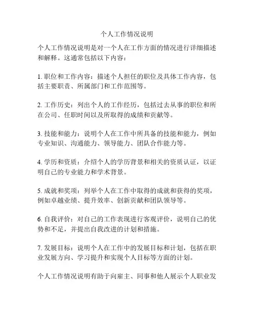 个人工作情况说明