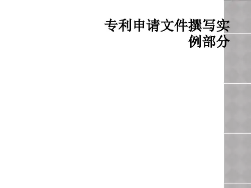 专利申请文件撰写实例部分