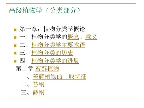 高级植物学1