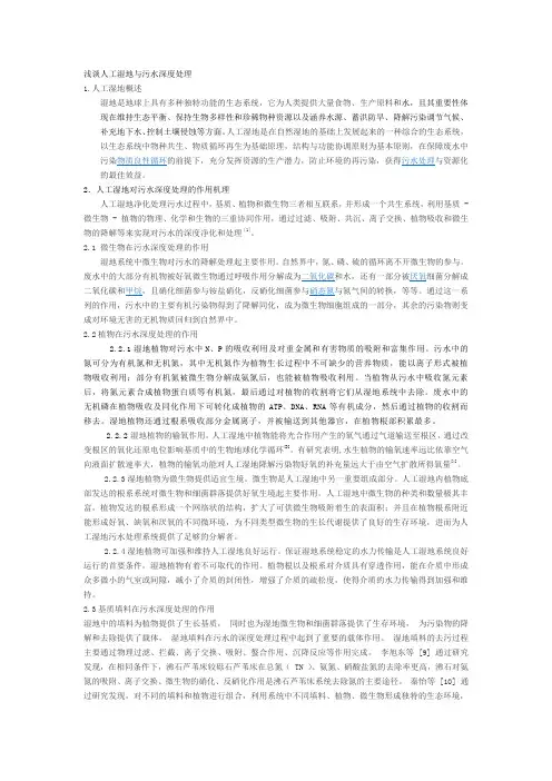 人工湿地与污水深度处理