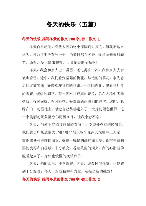 冬天的快乐(五篇)