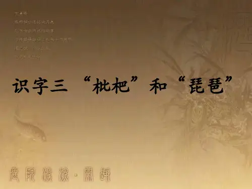 枇杷和琵琶说课
