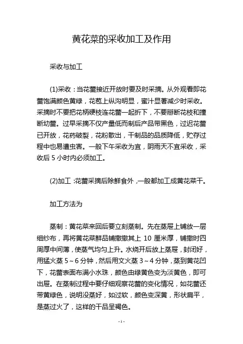 黄花菜的采收加工及作用