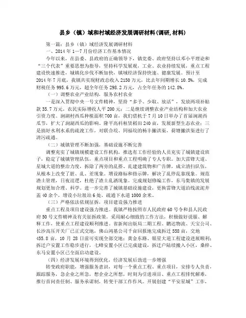 县乡(镇)域和村域经济发展调研材料(调研,材料)
