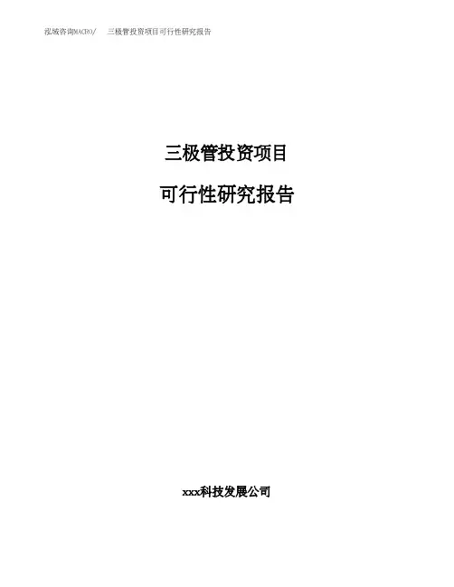三极管投资项目可行性研究报告(参考模板报告)