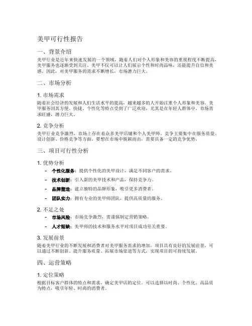 美甲可行性报告