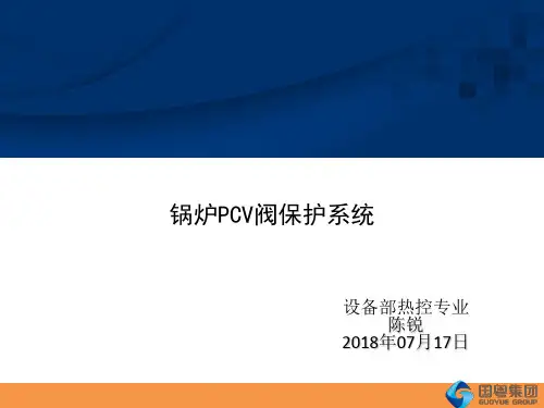 锅炉PCV阀保护系统