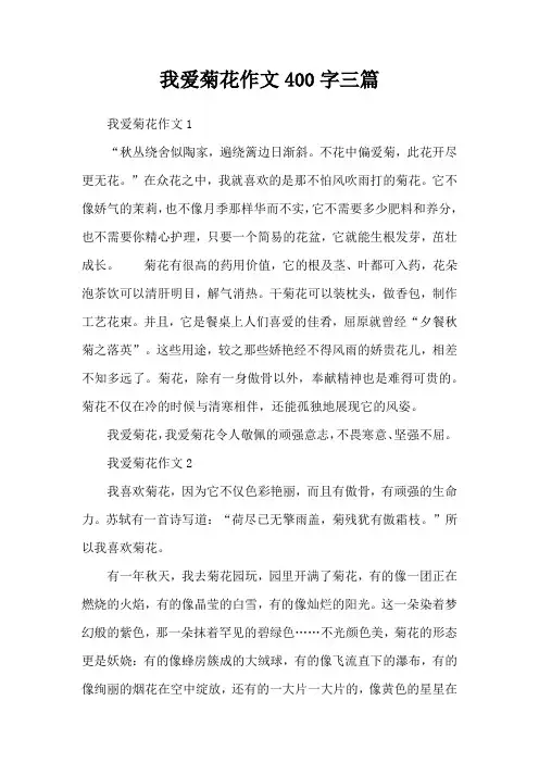 我爱菊花作文400字三篇