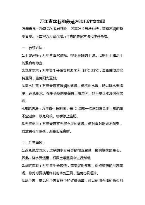 万年青盆栽的养殖方法和注意事项