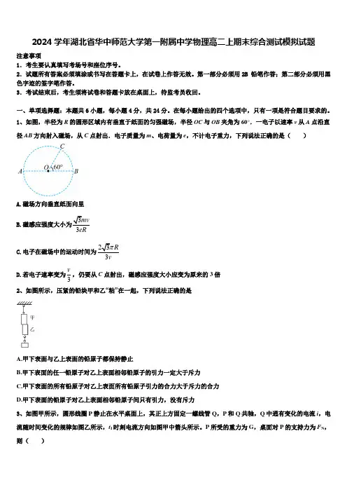 2024学年湖北省华中师范大学第一附属中学物理高二上期末综合测试模拟试题含解析